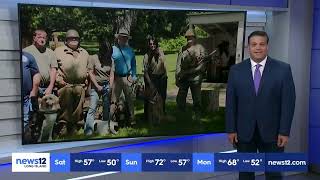 News 12 LI Highlights Paws of War's Historic Dogs of America 250 Initiative