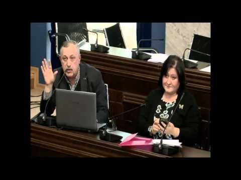 საფინანსო-საბიუჯეტო კომიტეტის სხდომა