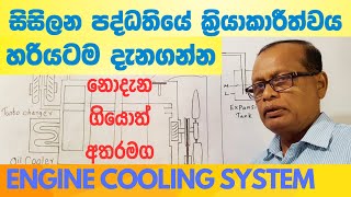 Ultimate Guide To Radiator Cooling System | සිසිලන පද්ධතිය | Engine Cooling System