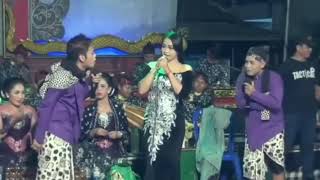 Mbois pol.. Bintang Tamune Cak Percil