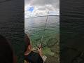 🫡😱🎣FISH CATCH AGAIN! 🐠 TRALALELE! 🏝️🇵🇼 #micronesia #fishing #palau