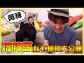 【搞神馬】阿神&雪兔私下頹廢模樣 (ﾟ∀。) 兩年沒來搞神馬，環境變得更加的「亂中有序」(ﾉ∀`)？ FT.  @阿神  @搞神馬 │VLOG#109