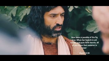 Now learn a parable of the fig tree.Mark 13:28