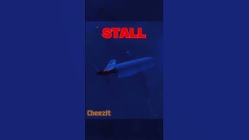 Thumbnail of Sounds All Pilots are Scared of 💀☠️ #shorts #aviation #sinkrate #737 #plane