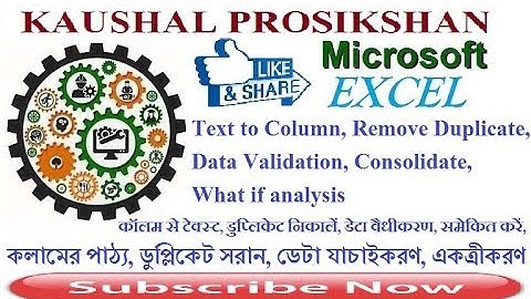 MS Excel Text to Column, Remove Duplicate, Data Validation, Consolidate, What if analysis
