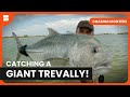 Hunting a giant trevally  chasing monsters  s05 ep06  fishing show