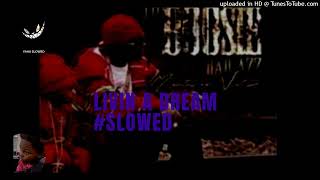 Lil Boosie ft Lavahouse Livin A Dream #Slowed