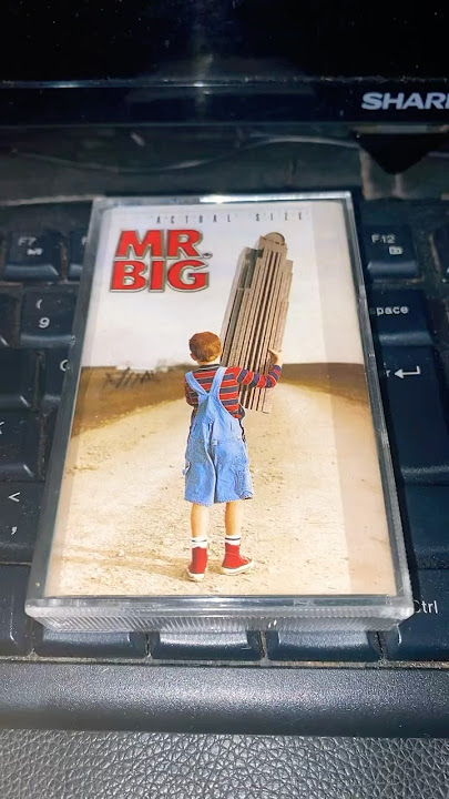 MR. BIG | ACTUAL SIZE (2001) #cassette #tape #album #mrbig #glam #metal #hardrock #slowrock