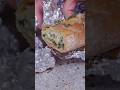 Spinach Artichoke Dip Stuffed Bread #shorts