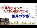 下落のサインが沢山出た！暴落かも？ ショットガン投資法 北洋銀行