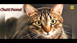 Chutti Poonai || Tamil Full Movies || சுட்டிப்பூனை || Baby Shalini || Kutty Story || Realcinemas HD