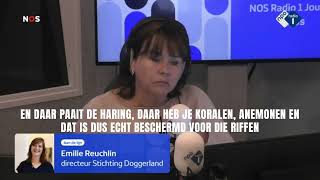 Emilie Reuchlin legt uit waarom wij naar de rechter stappen