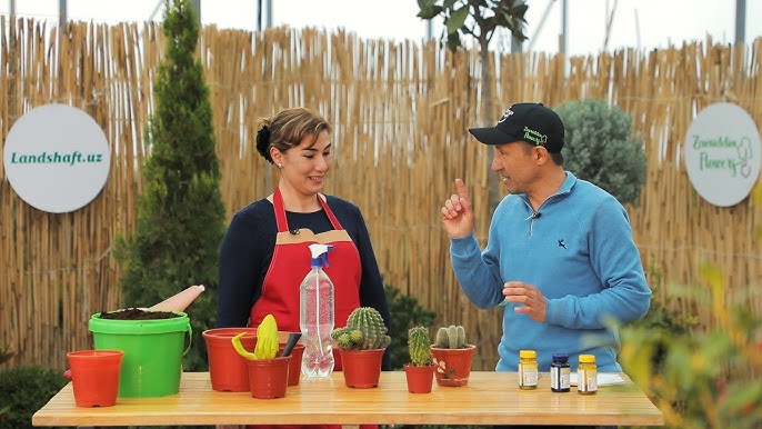 Анасы мен қызы порно оқиғасы