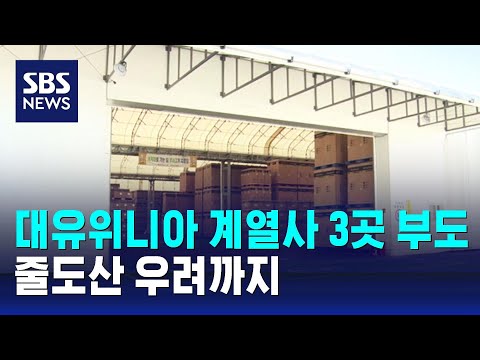   대유위니아 계열사 3곳 부도 처리 줄도산 우려까지 SBS