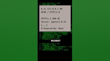 Что такое Fingerprinting в web безопасности #programming #cybersecurity #hacker