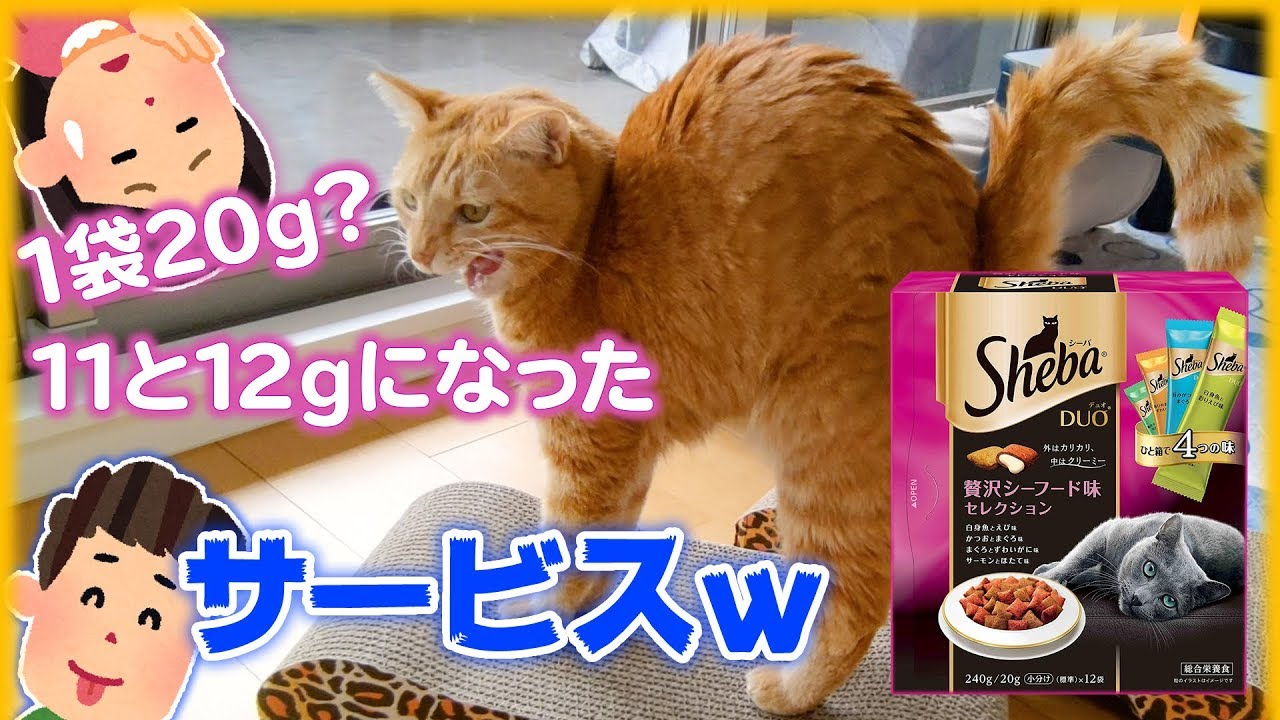 カリカリおやつ 中はクリーミー シーバ デュオ 贅沢シーフード味セレクションを茶トラ猫の茶々とマロンが食べてみた Youtube カリカリおやつ 中はクリーミー シーバ デュオ 贅沢シーフード味セレクションを茶トラ猫の茶々とマロンが食べてみた Youtube