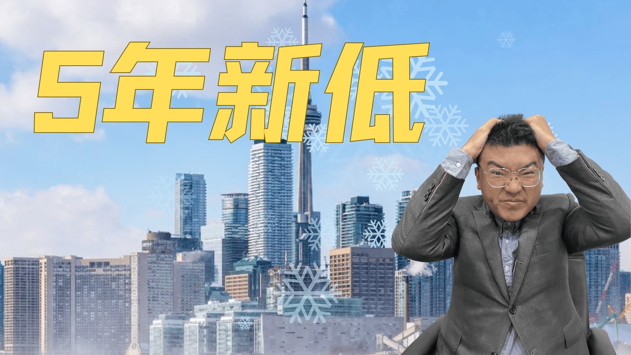 比多伦多天气更冷的是多伦多市场🥶