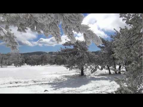 Зимний отдых на Ай-Петри