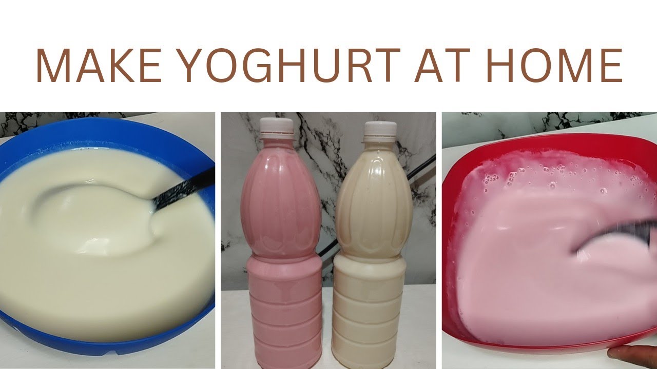How to make yoghurt at home Two ingredients yoghurt YouTube