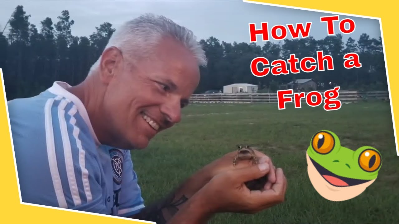 Catch a Frog and you’ll get warts! YouTube