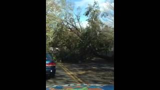 Hurricane Sandy - Plainview, Ny