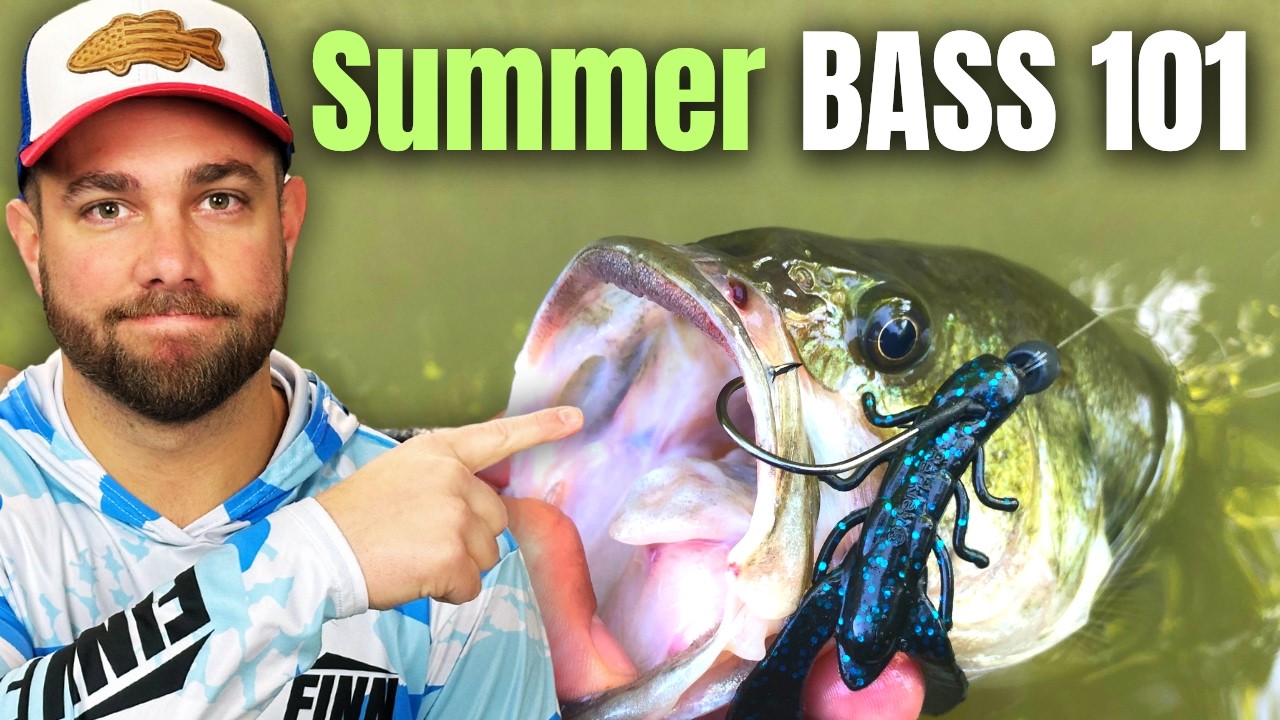 The #1 Thing To Remember About SUMMER BASS FISHING