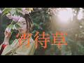 【宵待草 四家文子】カバー曲 by 結衣 奄美大島 沖縄 シマ唄 島唄 オールディーズ