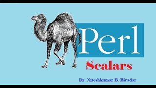 Perl Scalars ( What is Scalars)