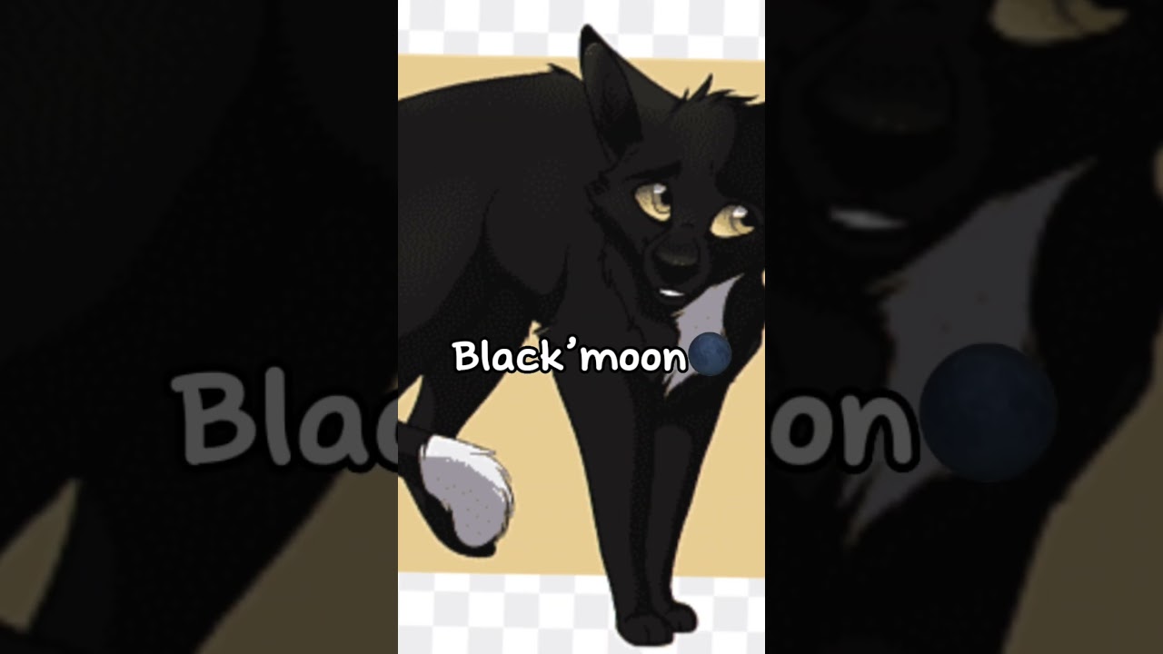 My friend guessed warrior cats names and..// #edit #warriorcats #cats #warriors