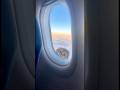 Stay with me #cute #funny #cat #kitten #tomcruise #airplane #aigc #ai