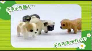 ♪じゃれじゃれいぬいぬ♪