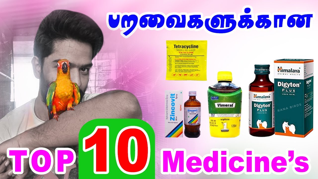 Birds top 10 medicine's in tamil / rana birds tips / பறவைகளுக்கான மருந்துகள் #birds_medicine