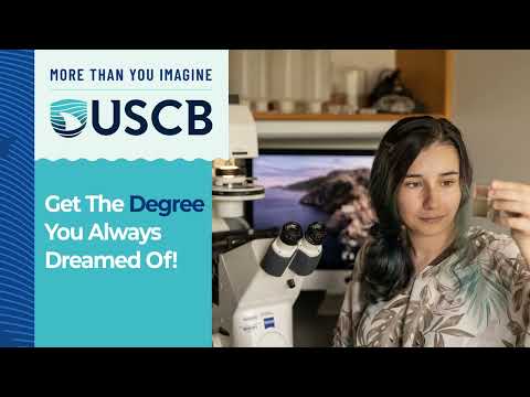 University of South Carolina Beaufort Youtube cr1 1