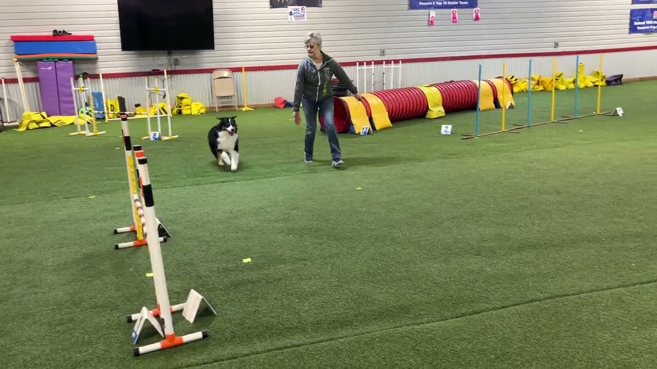 UKI Home Trial 60 40, 5th-16th February 2026, Jumping 1