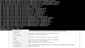 Installing OpenFOAM 2.2.2 Using Ubuntu Deb Installation Pack