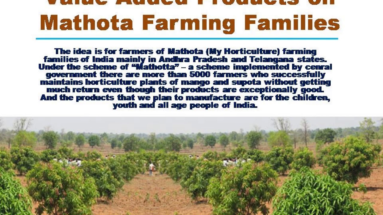 Mathota Value Addition for Mathota Horticulture Crops - YouTube