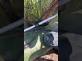 Щука на 7 кг Эмоции зашкаливают