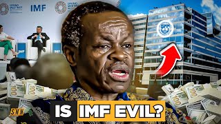 LIFE OR DEBT? PLO LUMUMBA EXPOSES HOW THE IMF HOLDS AFRICA BACK