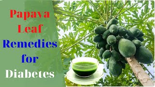 Only 1 Papaya Leaf To Cure Diabetes Permanently | Papaya Leaf Remedies For Diabetes