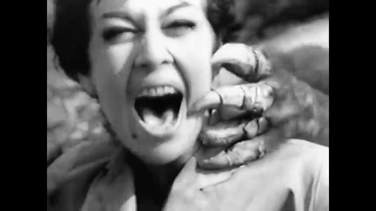 Z30,5 Kamp – Frank Out