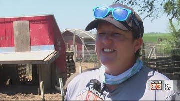 Pigging out! Farm and restaurant working together to reduce food waste