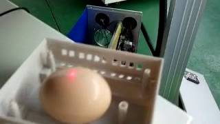 Marking on egg