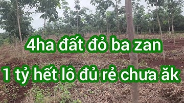 Cần nhượng 4ha đất đỏ ba zan giá cực rẻ o338337376 