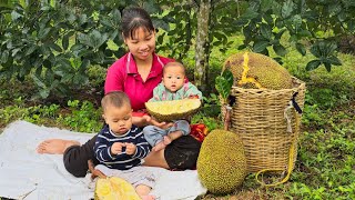 Family situation of a single mother raising two children - Harvest jackfruit to sell - Building life