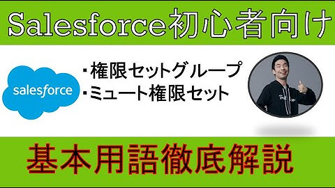 【権限セットグループ・ミュート権限セット】Salesforce基本用語徹底解説【初心者向け】