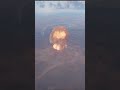 GETTING NUKED FOR THE FIRST TIMEEEEE