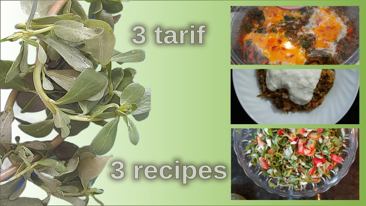 SEMİZOTU İle 3 Kolay Tarif. Kahvaltıda, Ana Yemekte ve Salatada Semizotu.