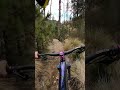 POV - Joya a arranque de Nevado DH #bike #mtb