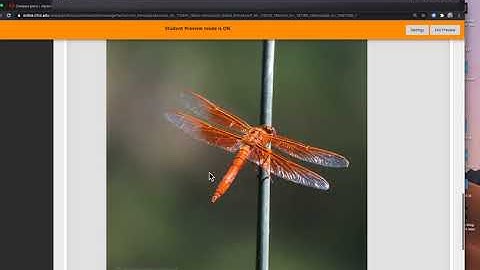 Creating a Thread (post) with Visible Images and working links: Blackboard