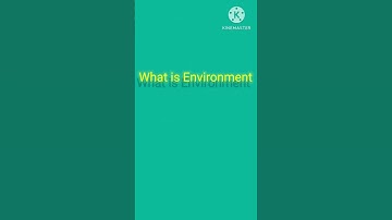 What is environment